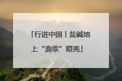 行进中国丨盐碱地上“渔歌”嘹亮