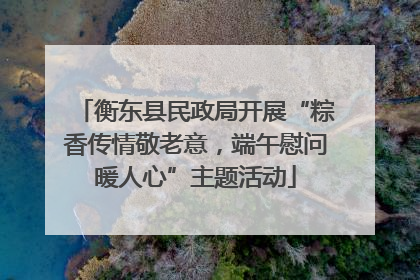 衡东县民政局开展“粽香传情敬老意，端午慰问暖人心”主题活动