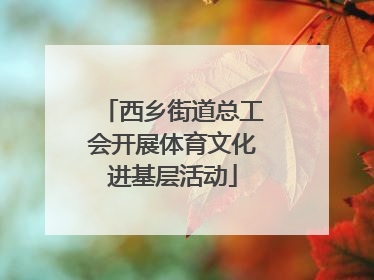 西乡街道总工会开展体育文化进基层活动