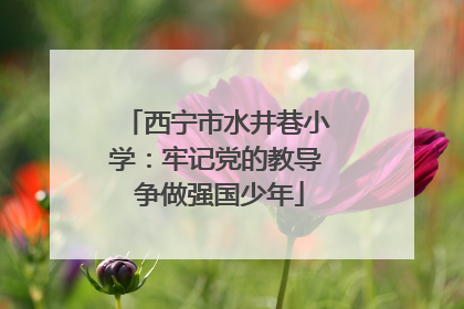 西宁市水井巷小学：牢记党的教导 争做强国少年