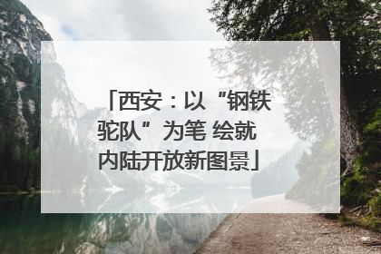 西安：以“钢铁驼队”为笔 绘就内陆开放新图景