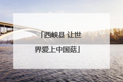 西峡县 让世界爱上中国菇