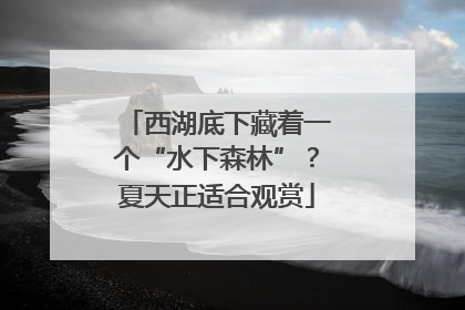 西湖底下藏着一个“水下森林”？夏天正适合观赏