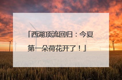 西湖顶流回归：今夏第一朵荷花开了！
