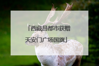 西藏昌都市获赠天安门广场国旗