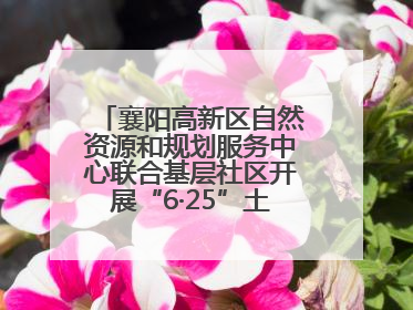 襄阳高新区自然资源和规划服务中心联合基层社区开展“6·25”土地日宣传活动