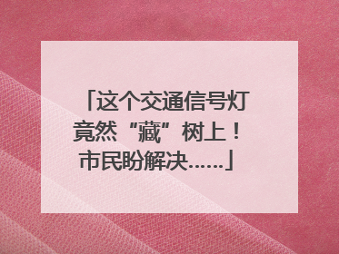 这个交通信号灯竟然“藏”树上！市民盼解决……