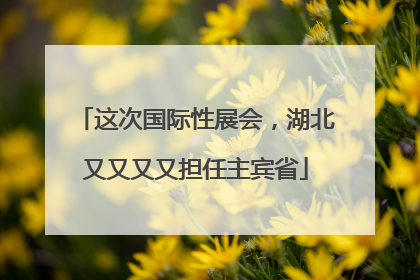 这次国际性展会，湖北又又又又担任主宾省