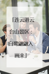 连云港云台山景区：白鹭翩翩入画来