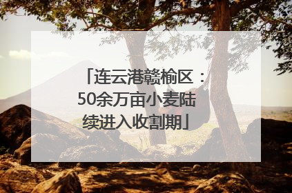 连云港赣榆区：50余万亩小麦陆续进入收割期