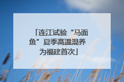 连江试验“马面鱼”夏季高温混养 为福建首次