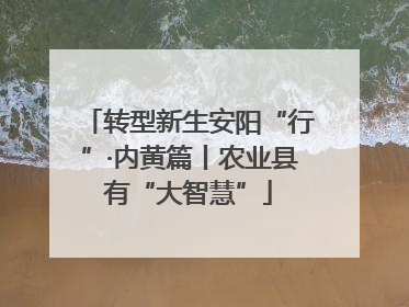 转型新生安阳“行”·内黄篇丨农业县有“大智慧”