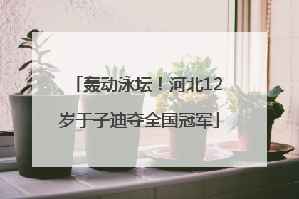 轰动泳坛！河北12岁于子迪夺全国冠军