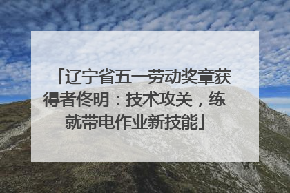 辽宁省五一劳动奖章获得者佟明：技术攻关，练就带电作业新技能