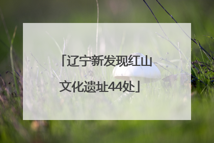 辽宁新发现红山文化遗址44处