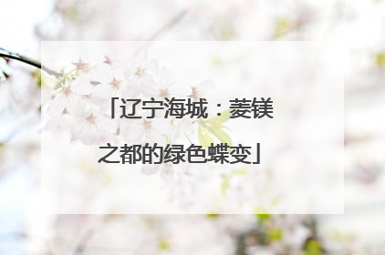 辽宁海城：菱镁之都的绿色蝶变