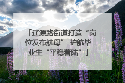 辽源路街道打造“岗位发布航母” 护航毕业生“平稳着陆”