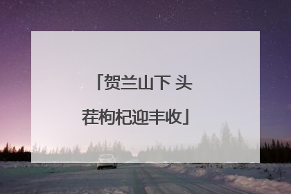贺兰山下 头茬枸杞迎丰收