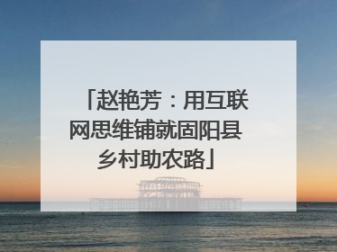 赵艳芳：用互联网思维铺就固阳县乡村助农路