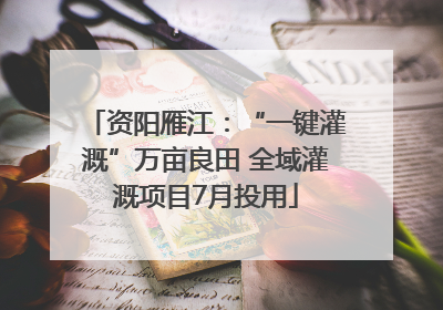 资阳雁江：“一键灌溉”万亩良田 全域灌溉项目7月投用