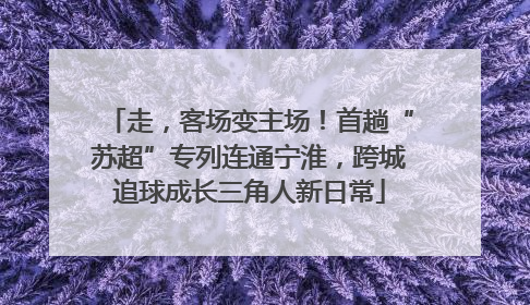 走，客场变主场！首趟“苏超”专列连通宁淮，跨城追球成长三角人新日常