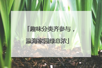 趣味分类齐参与，瀛海家园绿意浓
