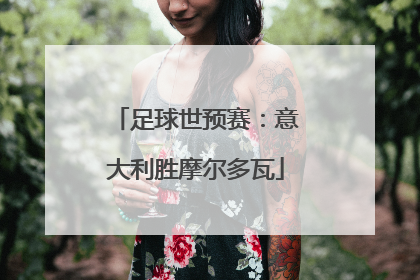 足球世预赛：意大利胜摩尔多瓦