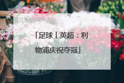 足球丨英超：利物浦庆祝夺冠