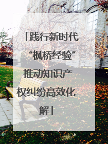 践行新时代“枫桥经验” 推动知识产权纠纷高效化解