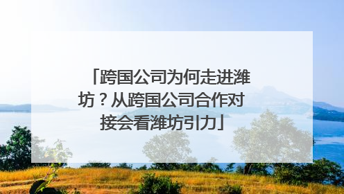 跨国公司为何走进潍坊？从跨国公司合作对接会看潍坊引力