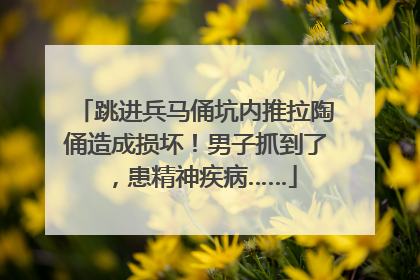 跳进兵马俑坑内推拉陶俑造成损坏！男子抓到了，患精神疾病……