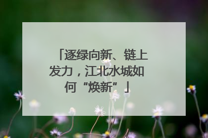逐绿向新、链上发力，江北水城如何“焕新”