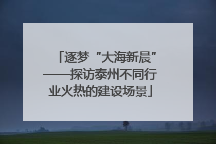 逐梦“大海新晨”——探访泰州不同行业火热的建设场景