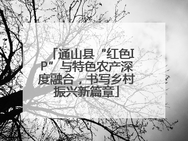 通山县“红色IP”与特色农产深度融合，书写乡村振兴新篇章