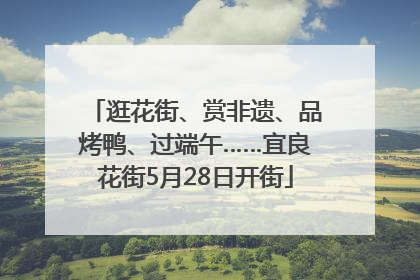 逛花街、赏非遗、品烤鸭、过端午……宜良花街5月28日开街