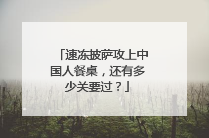 速冻披萨攻上中国人餐桌，还有多少关要过？