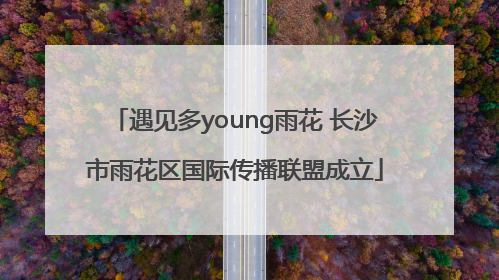 遇见多young雨花 长沙市雨花区国际传播联盟成立