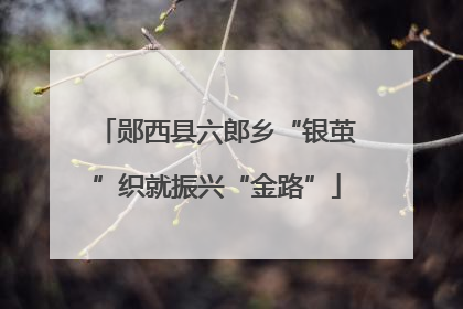 郧西县六郎乡“银茧”织就振兴“金路”