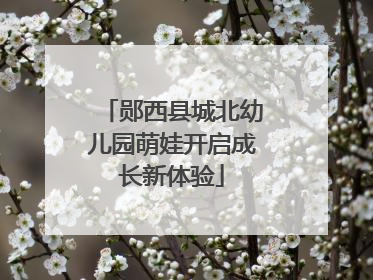 郧西县城北幼儿园萌娃开启成长新体验