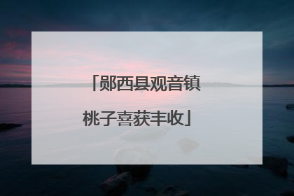 郧西县观音镇桃子喜获丰收
