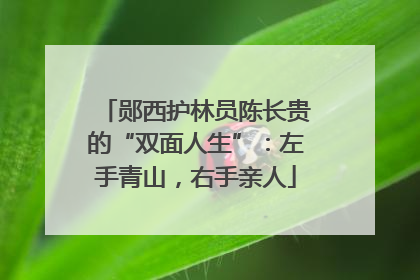 郧西护林员陈长贵的“双面人生”：左手青山，右手亲人