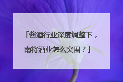 酱酒行业深度调整下，南将酒业怎么突围？