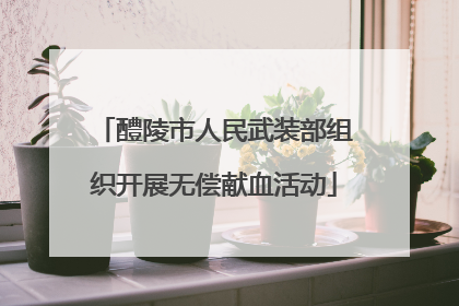 醴陵市人民武装部组织开展无偿献血活动