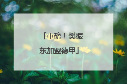 重磅！樊振东加盟德甲