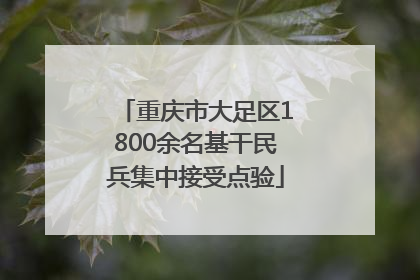 重庆市大足区1800余名基干民兵集中接受点验