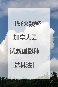 野火频繁 加拿大尝试新型撒种造林法