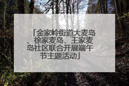 金家岭街道大麦岛、徐家麦岛、王家麦岛社区联合开展端午节主题活动