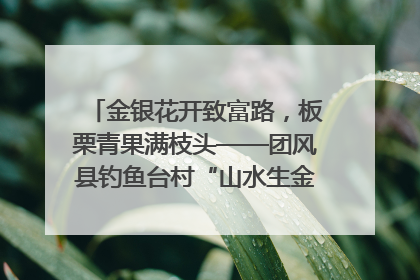 金银花开致富路，板栗青果满枝头——团风县钓鱼台村“山水生金”谱写共富新篇章