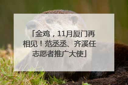金鸡，11月厦门再相见！范丞丞、齐溪任志愿者推广大使