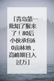 青岛第一批知了猴来了！80后小伙承包60亩林地，高峰期日入过万